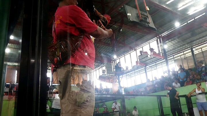 11 months pumpkin sweater