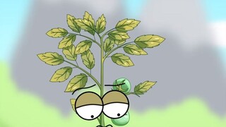A bucket of enzyme fertilizer, tomatoes grow much better
