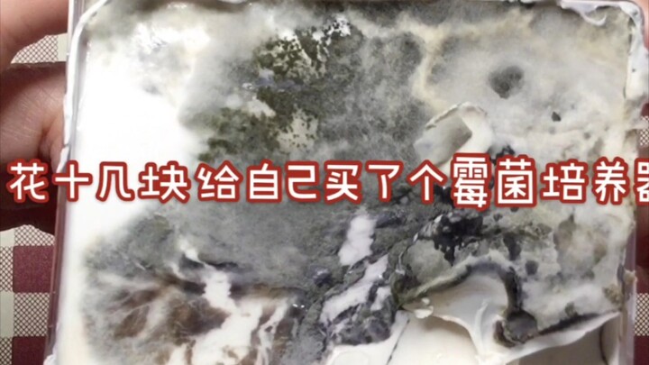 少买婉尔的泥 多活十几年