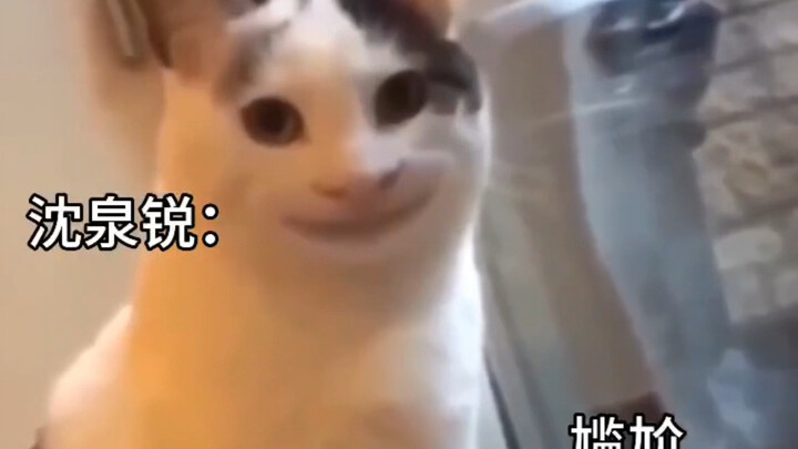 【Ricky沈泉锐】Ricky先天搞笑圣体