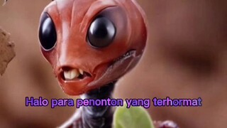 Semut bisa berbicara dan mengundang kita semua