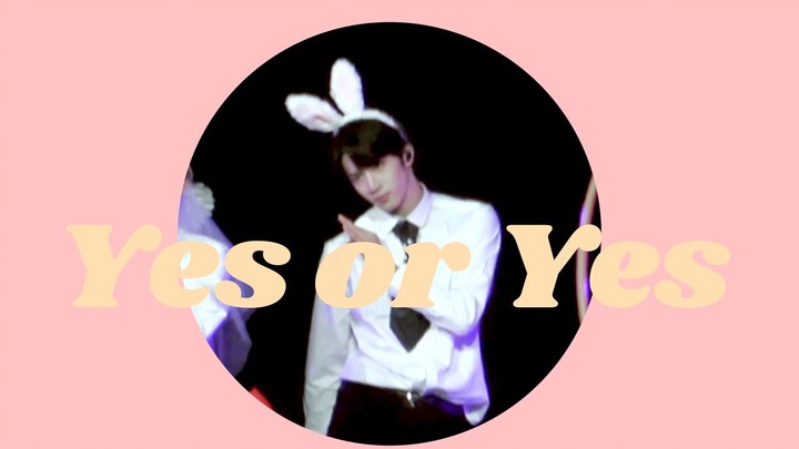 นี่ฉันดูได้รึเปล่าเนี่ย! ไอดอลบอยกรุ๊ปแปลงร่างเป็นกระต่ายน้อยน่ารักและเต้นเพลงคลาสสิก Yes or Yes