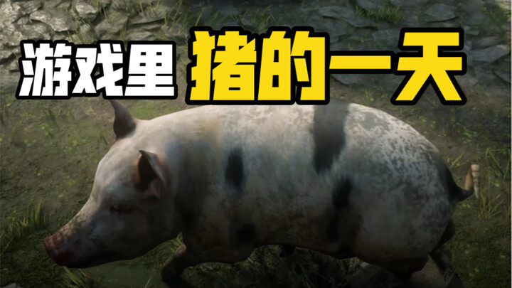 In the game, a pig’s day, packed with details