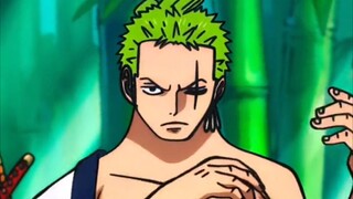 kehidupan sehari-hari zoro