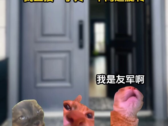 团宠跟班 5