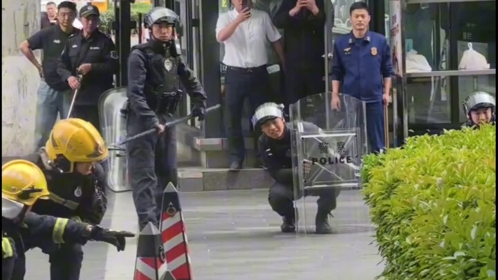 Wild boar storms into TV station; special police and firefighters team up for a coordinated capture.