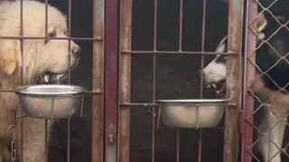 Sangat membuat kesal