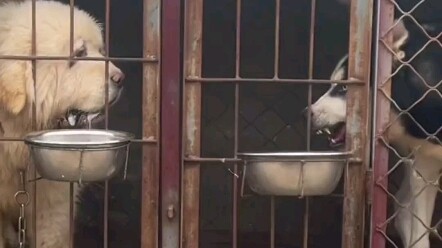 مزعج للغاية