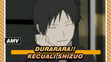 [Durarara!!] Aku Mencintai Manusia, Kecuali Shizuo