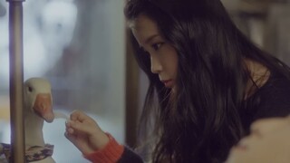 IU YOU&I MV