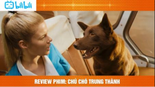 [Review Phim] Nghẹn Ngào Chú Chó Được Người Dân Nước Úc Đúc Tượng