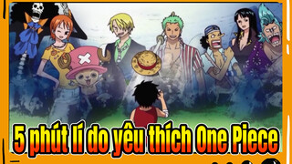 Trong 5 phút giải thích lí do yêu thích One Piece