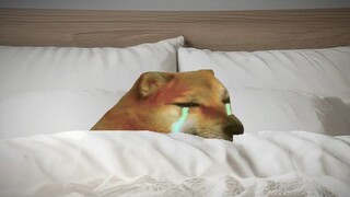 我已经很久没有好好睡过觉了