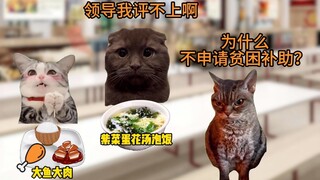 当学校领导看到我吃得太清淡，以为我是贫困生