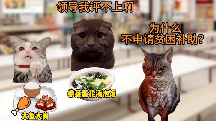 当学校领导看到我吃得太清淡，以为我是贫困生