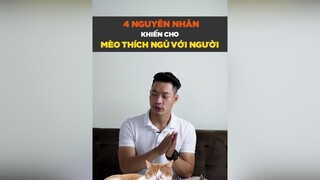 4 nguyên nhân khiến mèo thích ngủ với người tuitienpet petnhatrang petonesaigon dcgr