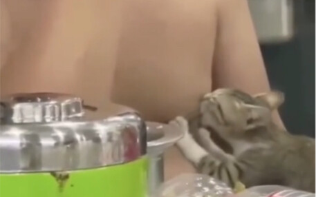 喵：佳人们，就是说简单吃个晚饭