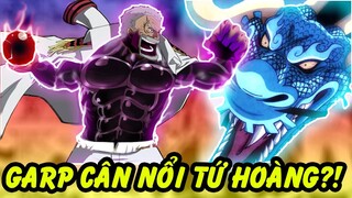 Garp Hạ Gục Được Kaido?! | Liệu Garp Có Cân Được Hết Tứ Hoàng Trong One Piece?!