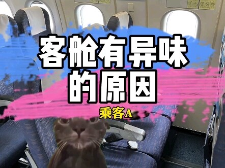 الطائرة النتنة 🛩