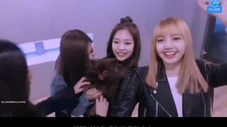 【BLACKPINK】After watching this, you'll understand just how tough it was for these four girls to get 