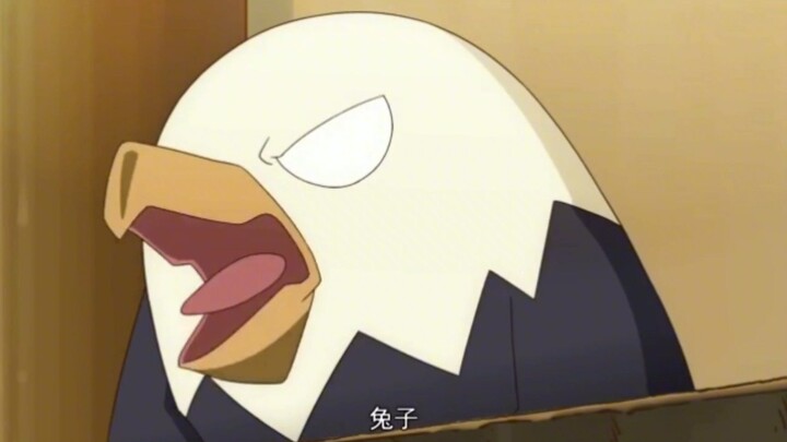 ชีวิตประจำวันของ Eagle Sauce - กระต่าย! กระต่าย! กระต่าย!