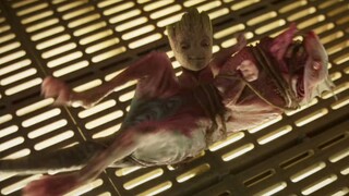 Baby Groot Trying to Find Yondus Fin  Guardians of the Galaxy Vol 2 Movie Clip HD