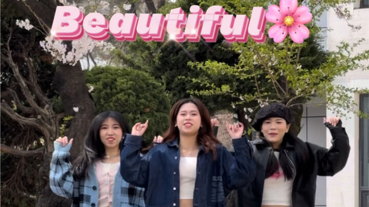 Sakura 🌸Cosmos Factory 🌌 The most suitable Korean attractions for Karamei to check in