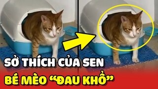 Chú mèo "ĐAU KHỔ" khi đi vệ sinh vì SỞ THÍCH lạ lùng của con Sen 😂 | Yêu Lu