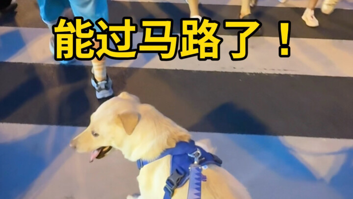 The sea dog spent two years learning some amazing things.