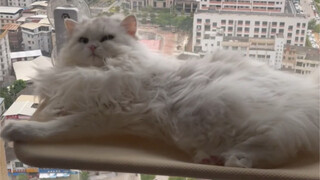 As soon as I see clearly that it's me coming over, I immediately fall asleep.