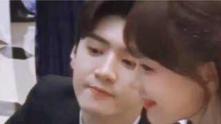 Chen Zheyuan x Xu Mengjie | Magnolia | Secrets in the Secret Compartment
