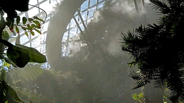 cloud forest singapore