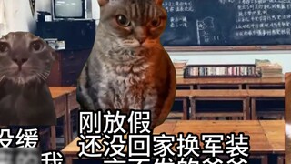 [Cat meme] Tôi bình thường và những người lớn tuổi (không bình thường) của tôi (1)