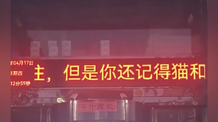 汤姆和杰瑞