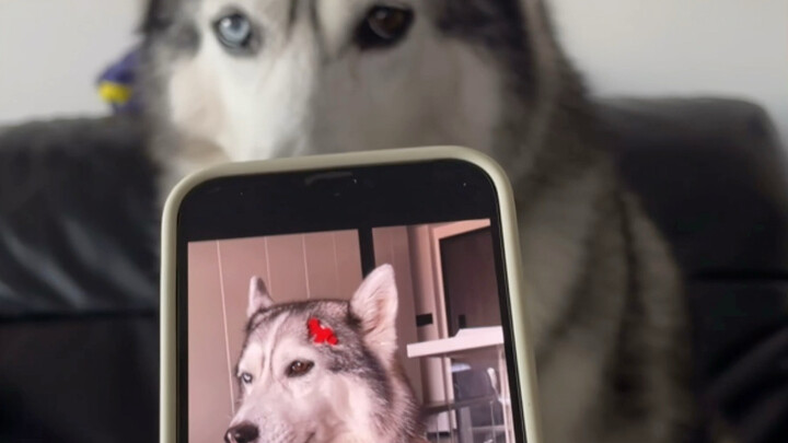 Giúp tôi xem lần này phối đồ thế nào nhé?