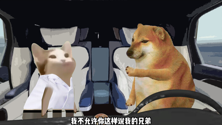 لابد أن يكون للإنسان ضمير، هذا أخي!