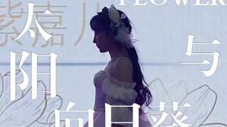 灯光亮起，就懂得白月光的杀伤力！Flower-太阳与向日葵