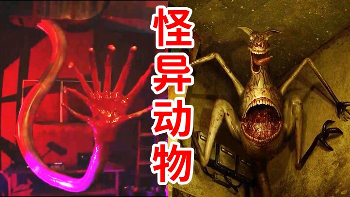 Creepy Little Hands! Kangaroos Taking Flight?! The Strange Zoo of Mutant Creatures! A Preview of the