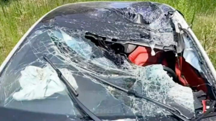 Xiaomi bravely takes the hit from a falling cannonball! This selfless act of protecting its owner is