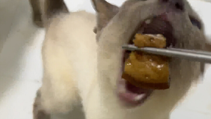 มันหมูอร่อยกว่า