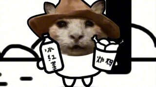 โรงเรียนประถมกีหมี: ไข่ขมเป็นลูกแมวตัวเล็กที่ไม่มีเศรษฐกิจและไม่มีโมเดล