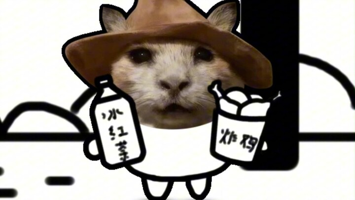 基米小学：苦蛋是一只没经济没建模的小猫