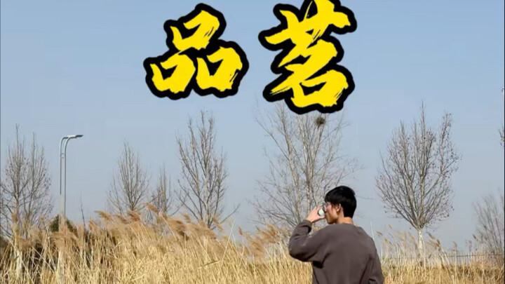 今天有新同事入职#上班