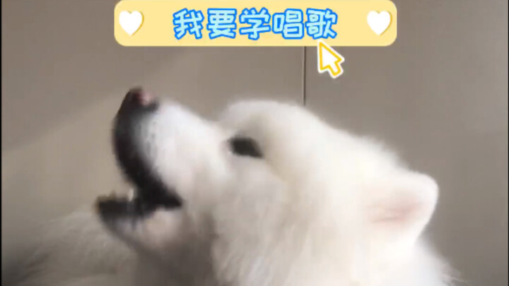 If your singing voice isn’t great, just learn how to act instead!