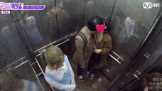TWICE:TWICE成员在电梯看到情侣恋爱bobo反应,都太害羞了