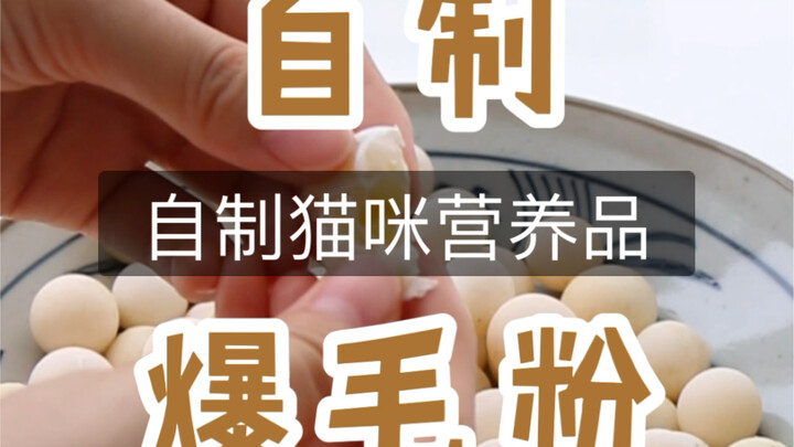 Make $20 Worth of Cat Nutrition—Fluffy Fur Powder—for Just $20!