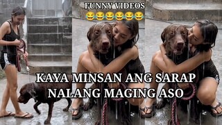 MINSAN ANG SARAP NALANG MAGING ASO, PINOY MEMES, FUNNY VIDEOS