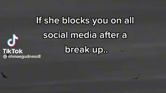reality
