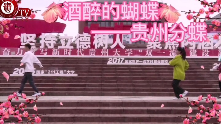 【贵州大学】广场舞阿姨都赞不绝口的贵大分蝶请求出战！