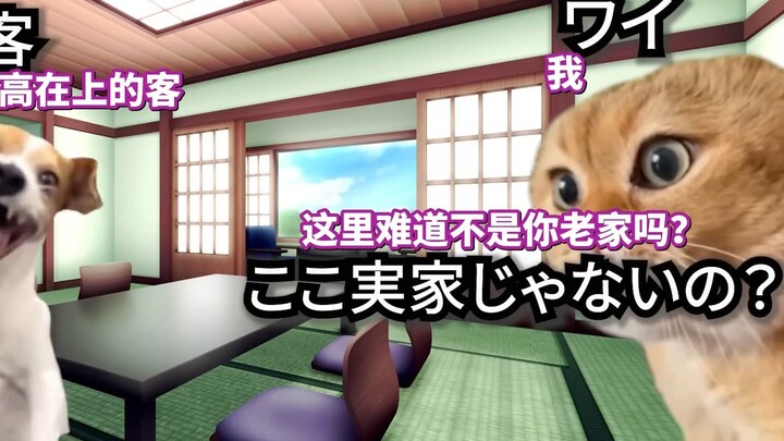 [Hot Clip] Bringing Mariko to the Guest's Hometown | Cat Meme